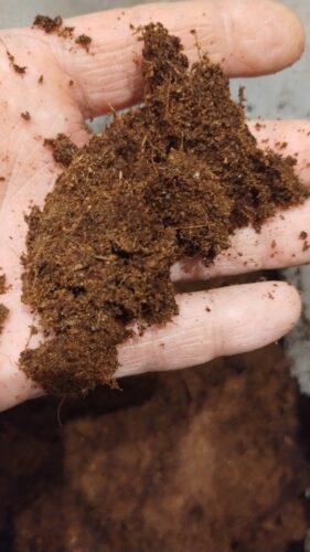 Plonix - Ziemia kokosowa przyśpieszająca wzrost roślin photo review