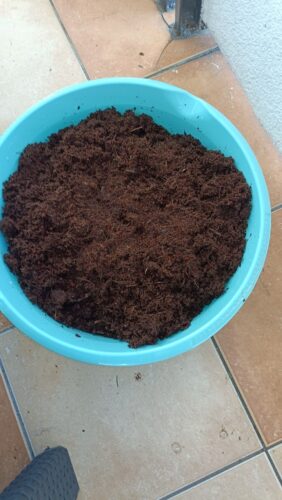 Plonix - Ziemia kokosowa przyśpieszająca wzrost roślin photo review