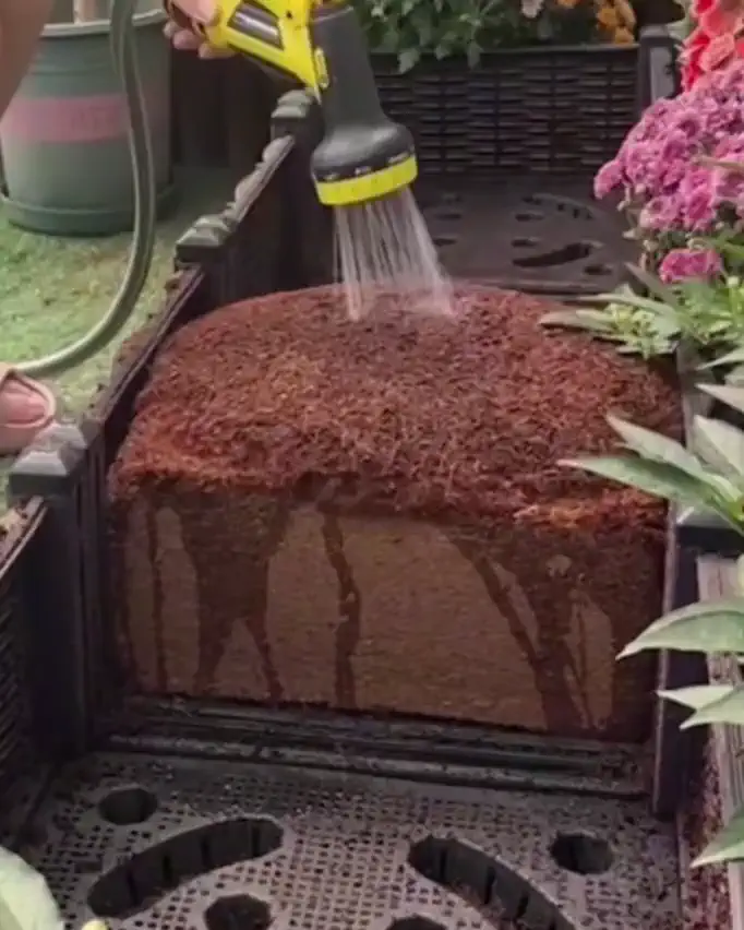 Plonix — naturalna ziemia kokosowa